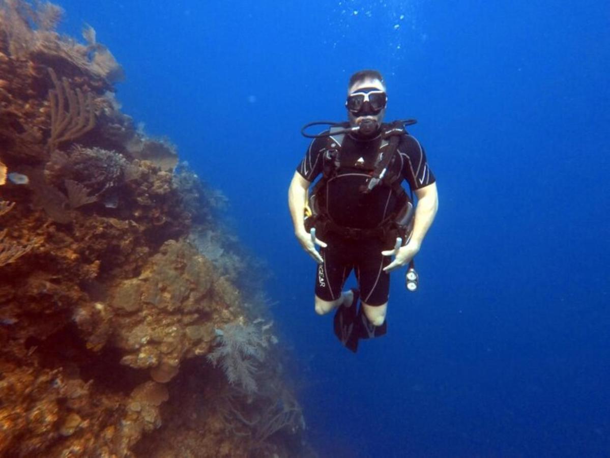 Hotel And Dive Center Roatan Yacht Club French Harbour Exterior foto